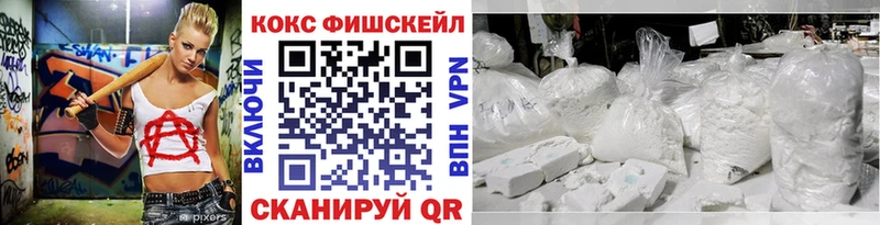 Купить закладки  Перевоз  COCAIN FishScale 