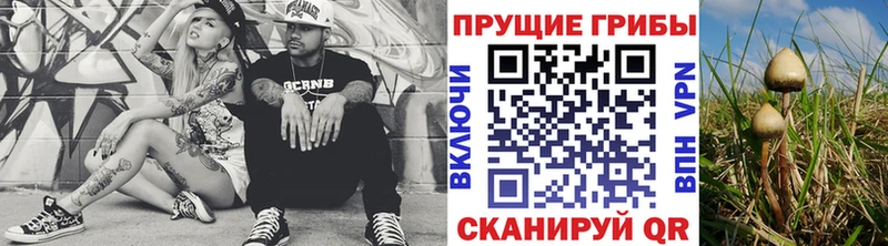 Купить закладки  Перевоз  Галлюциногенные грибы GOLDEN TEACHER 
